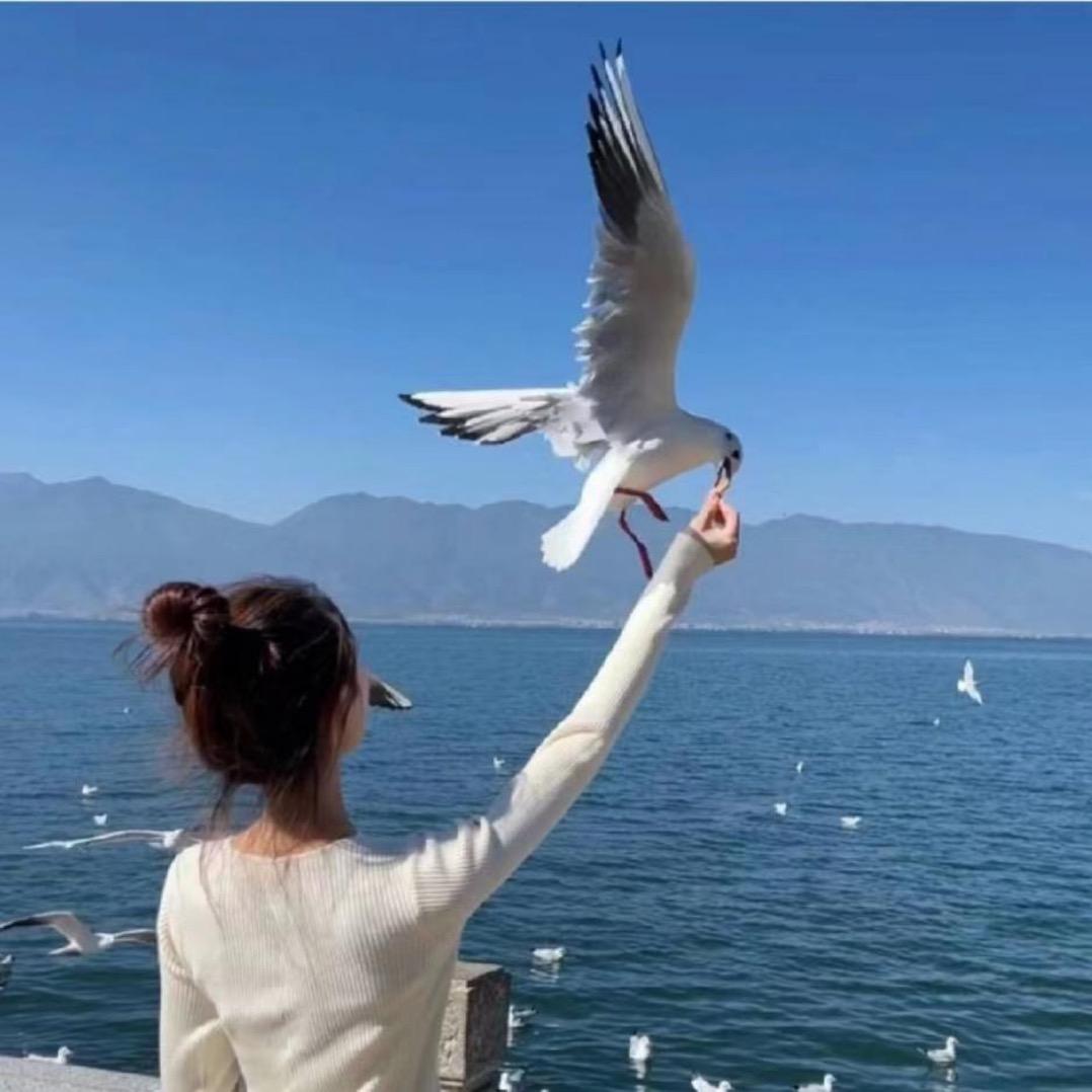 霖霖妈妈👨👩👧