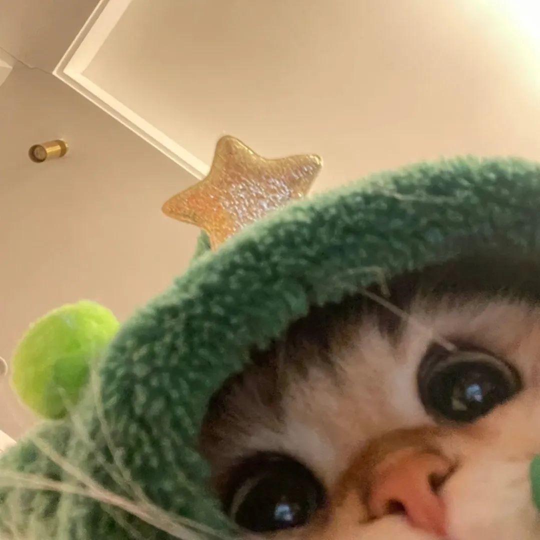 性感纯欲母蟑螂🪳