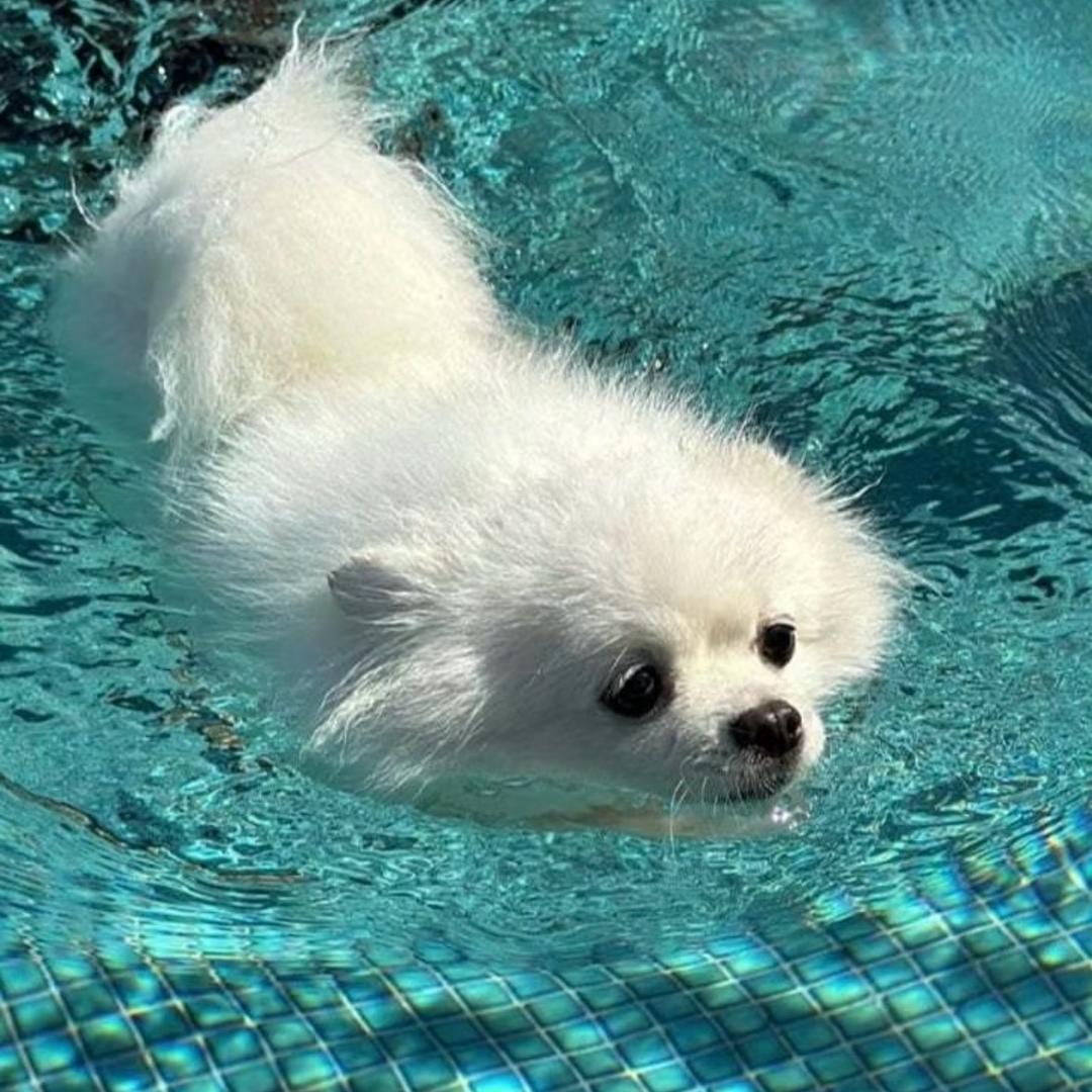 小7喜欢吃西瓜.