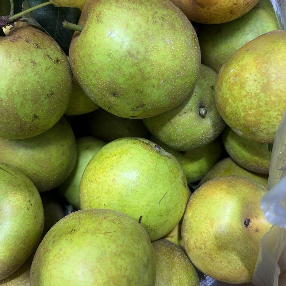 ✌︎˶╹ꇴ╹˶✌︎