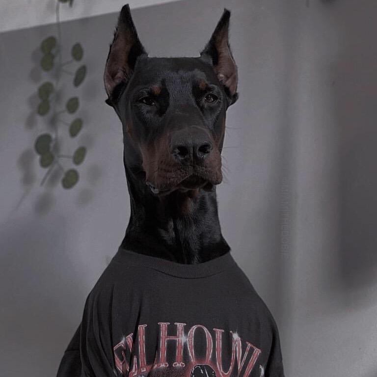 3254个小学生的崇拜对象