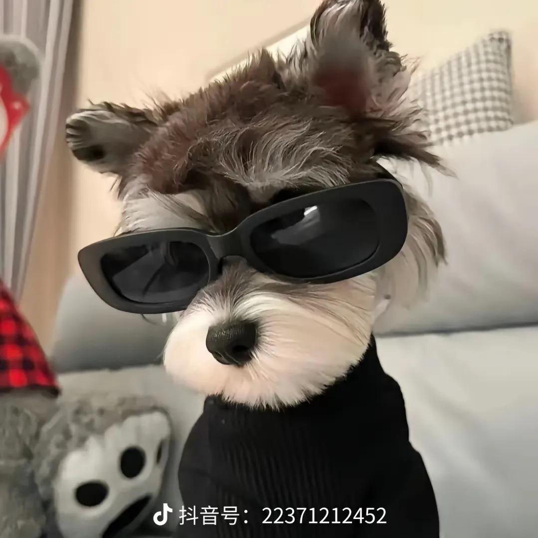 奥莱特斯折扣2.0