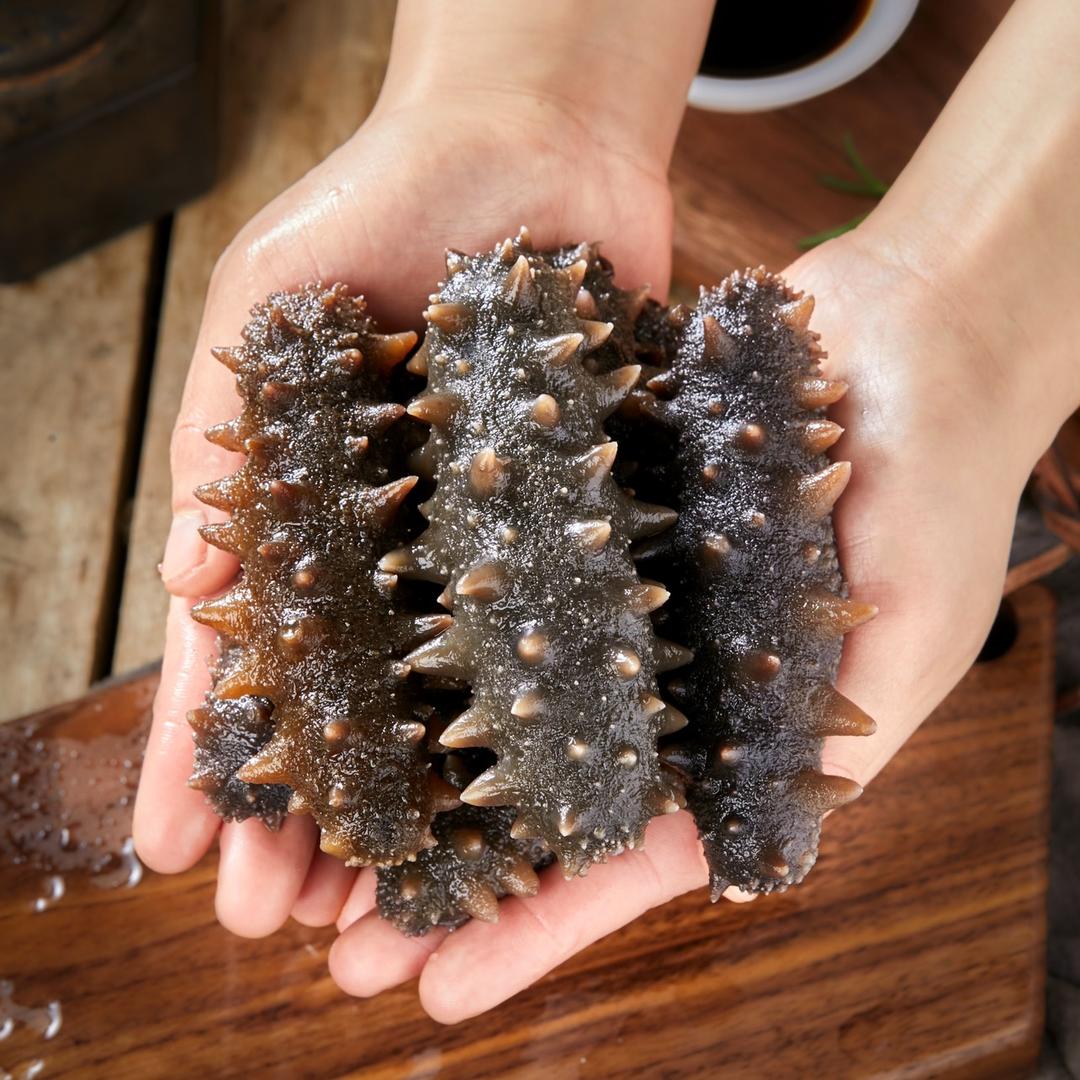 大黑山岛海参甄选