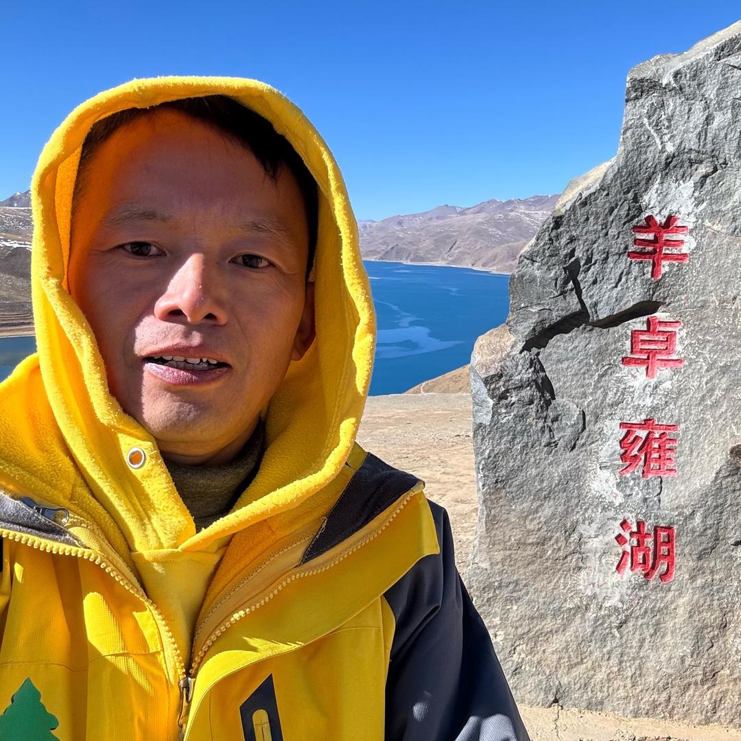 小树闯世界