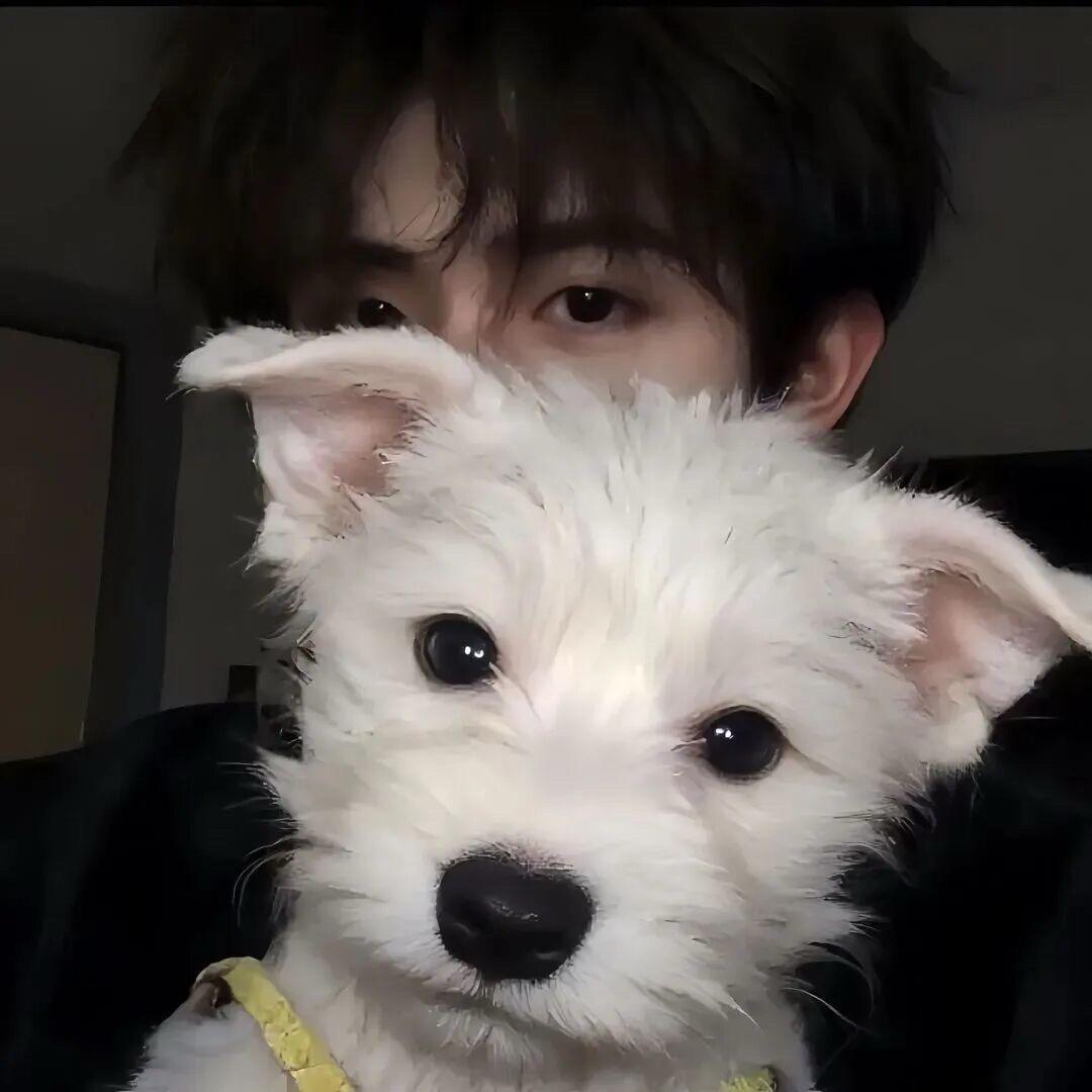 五星少校宇将军