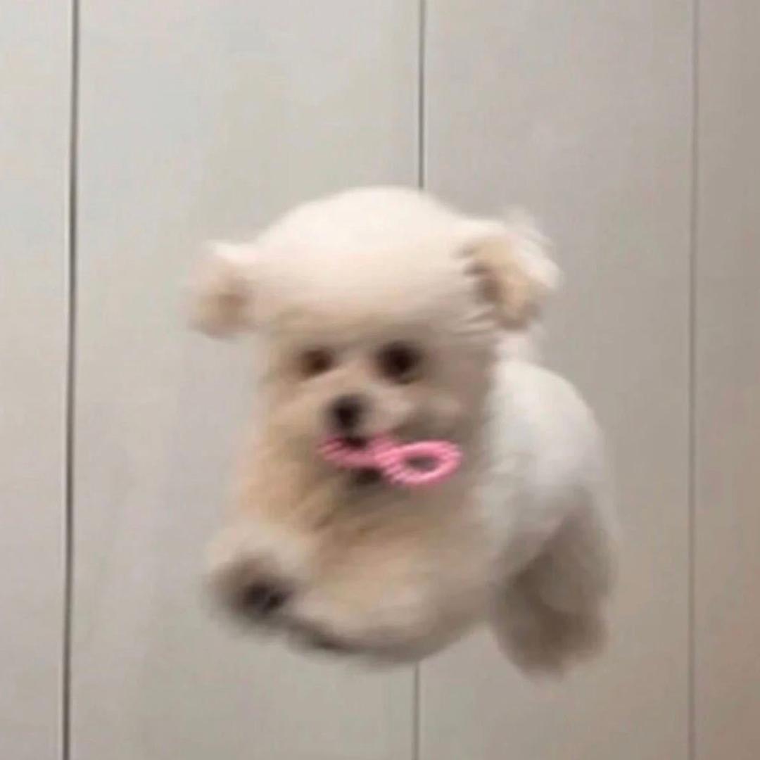 uuluuu