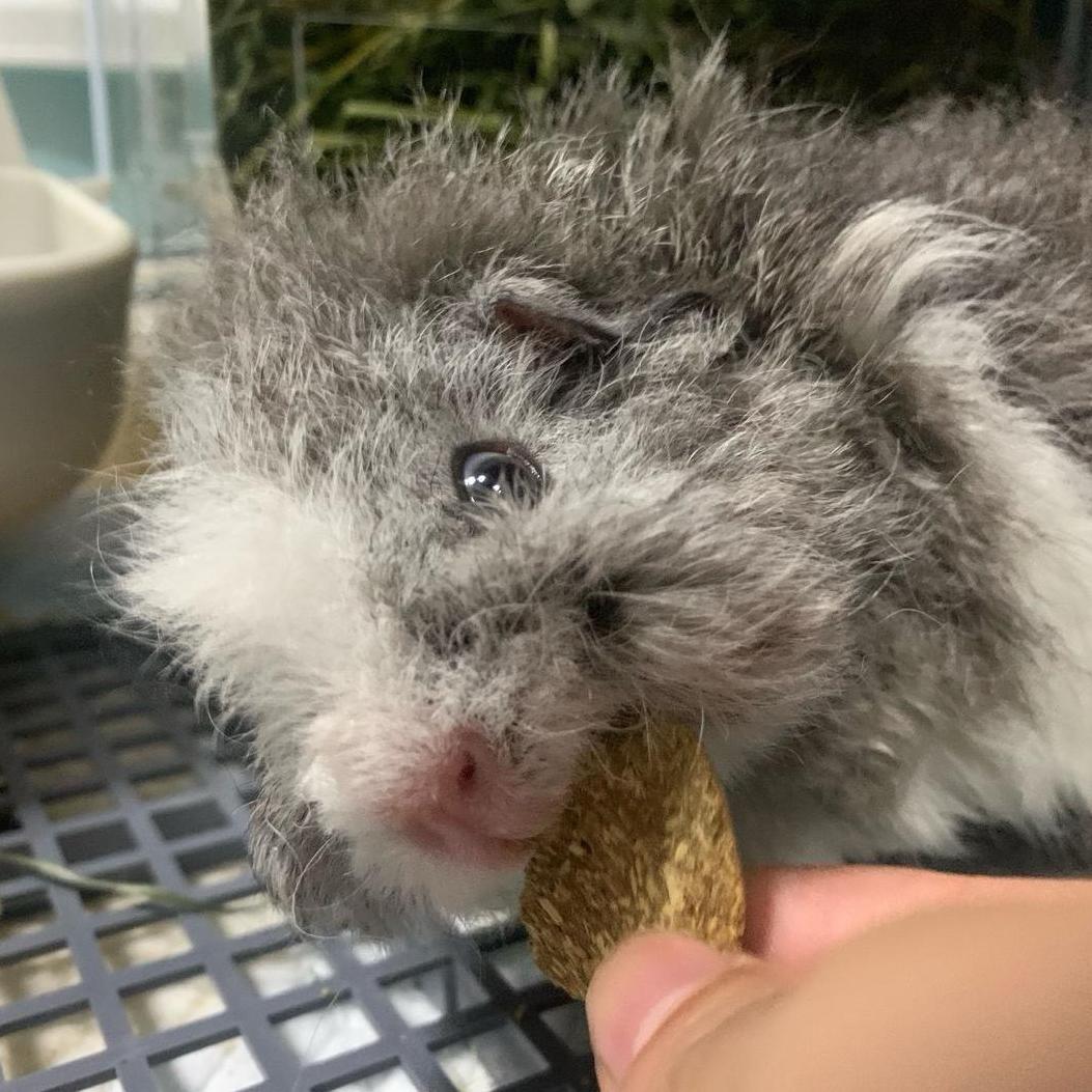 小卷儿不是小兔砸