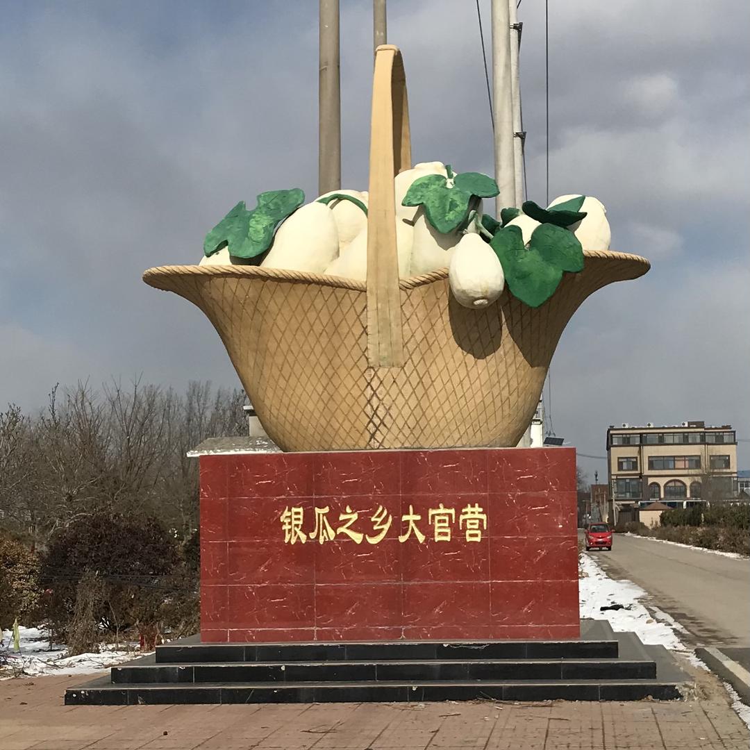 弥河银瓜大官营村