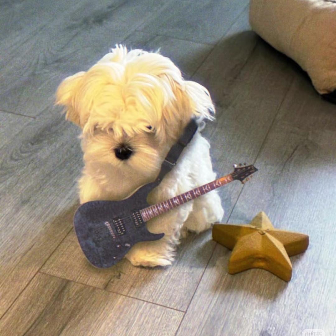 旺旺仙贝੯‧̀͡⬮\