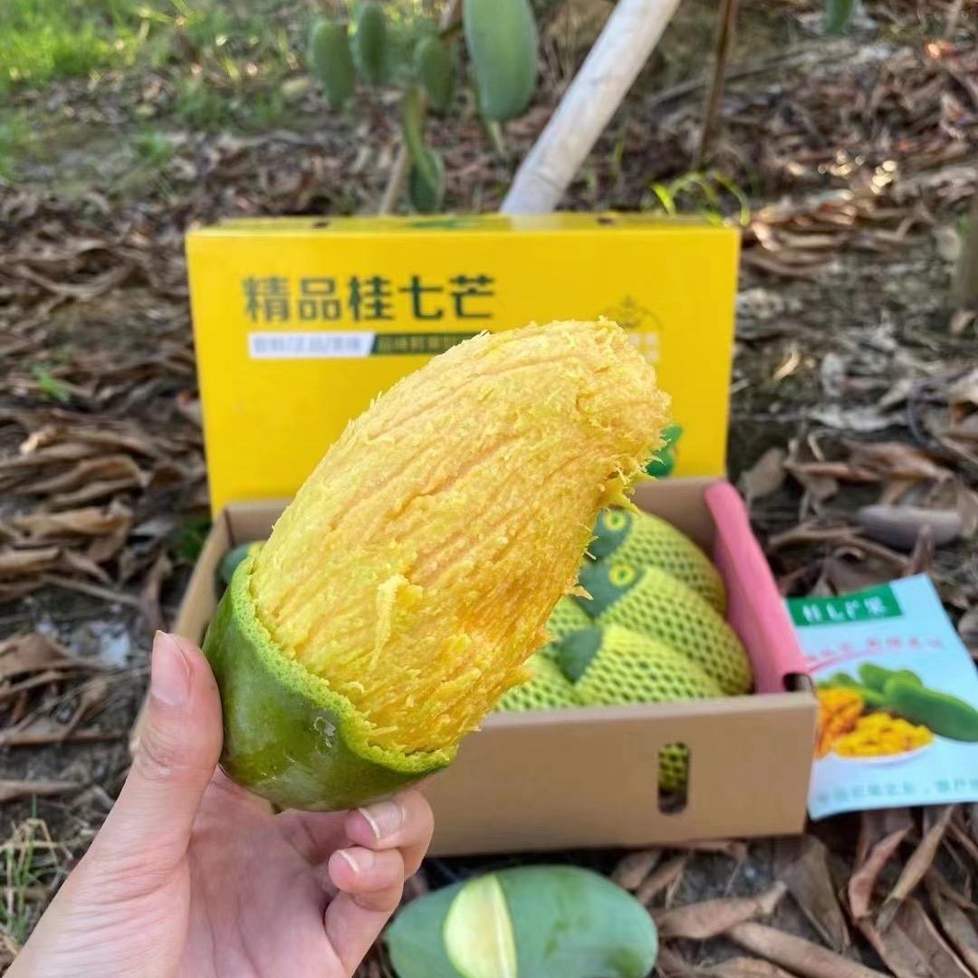 广西惠盈果业
