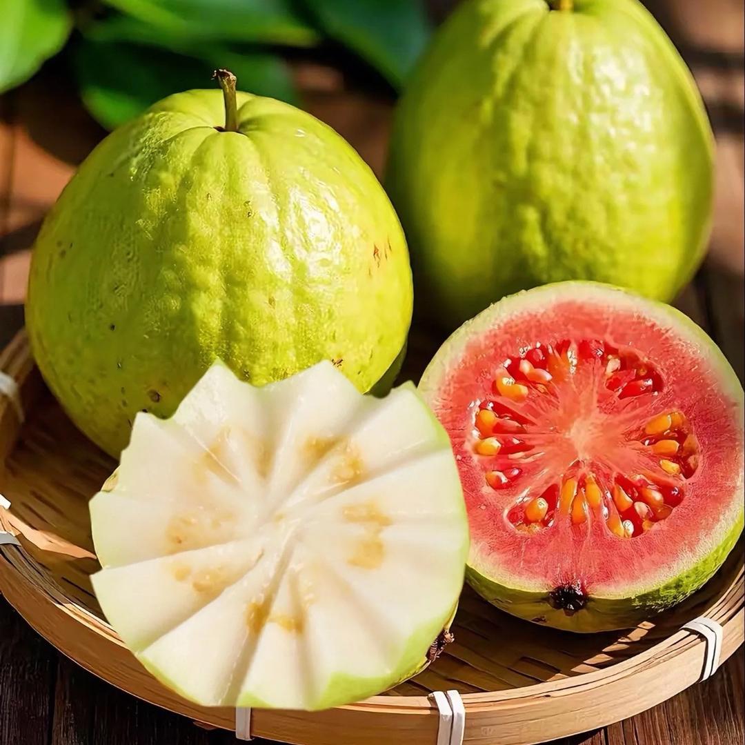 荔之源-芭乐果园