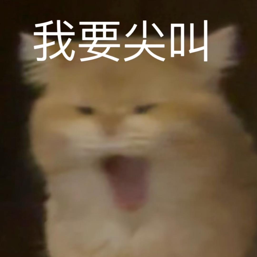 𝓡𝓮𝓶𝓮𝓶𝓫𝓮𝓻
