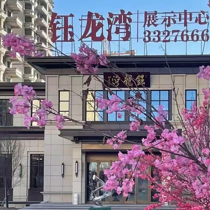 孔庆鑫