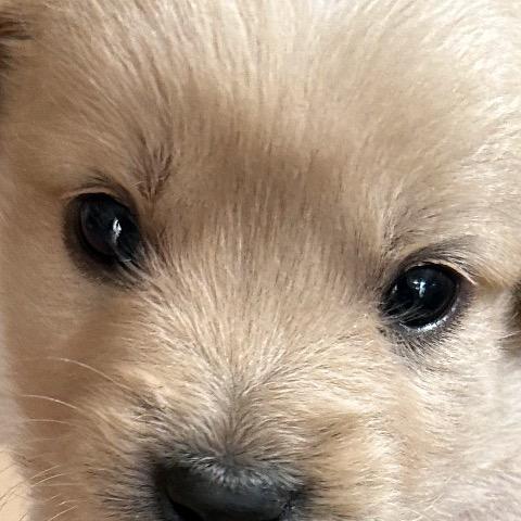 秋