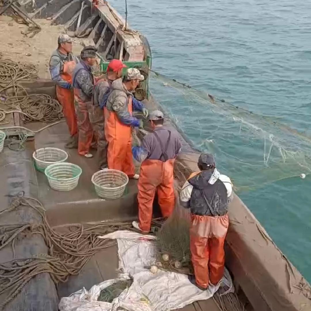 海上人家本地精品海鲜（只卖好货)
