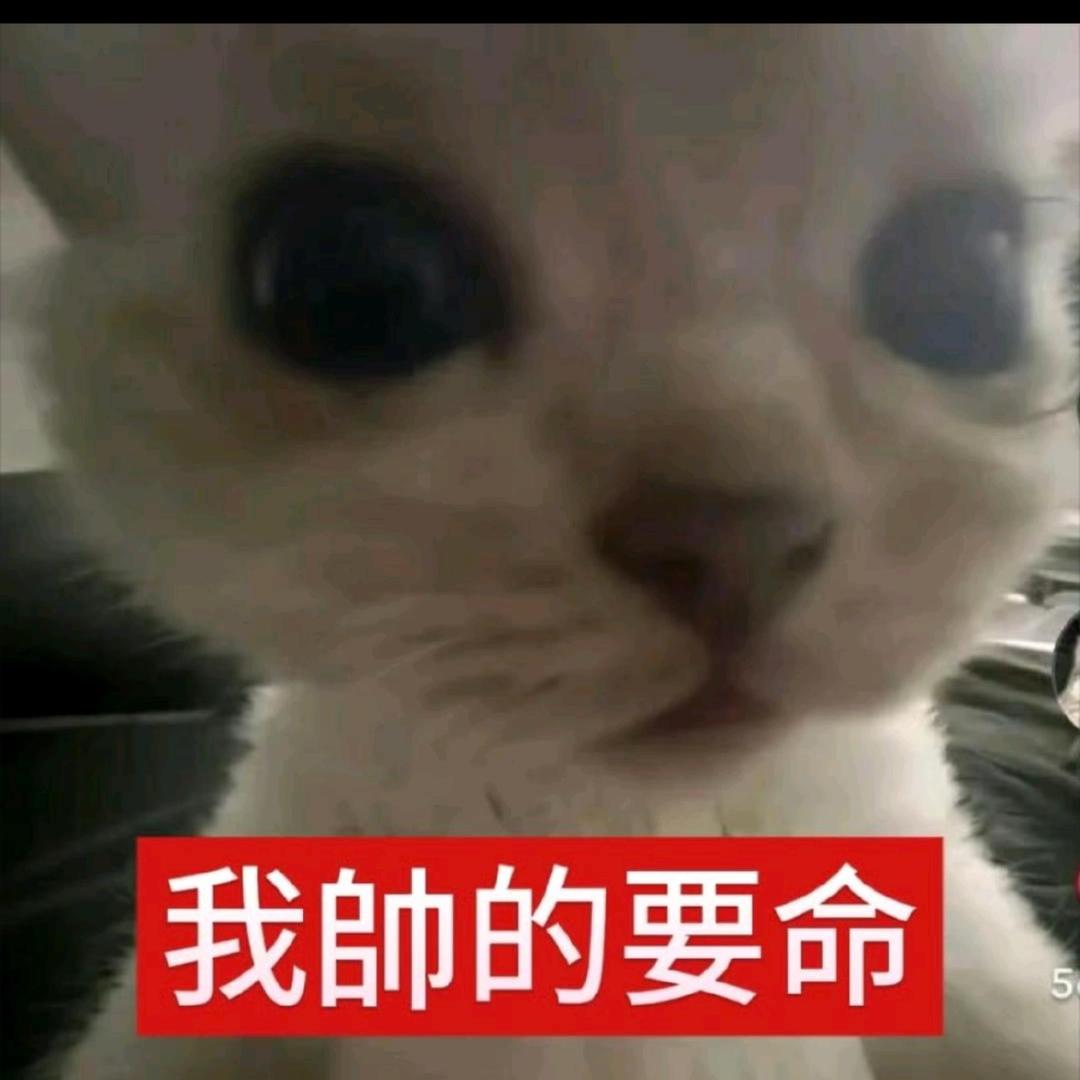 喜羊羊