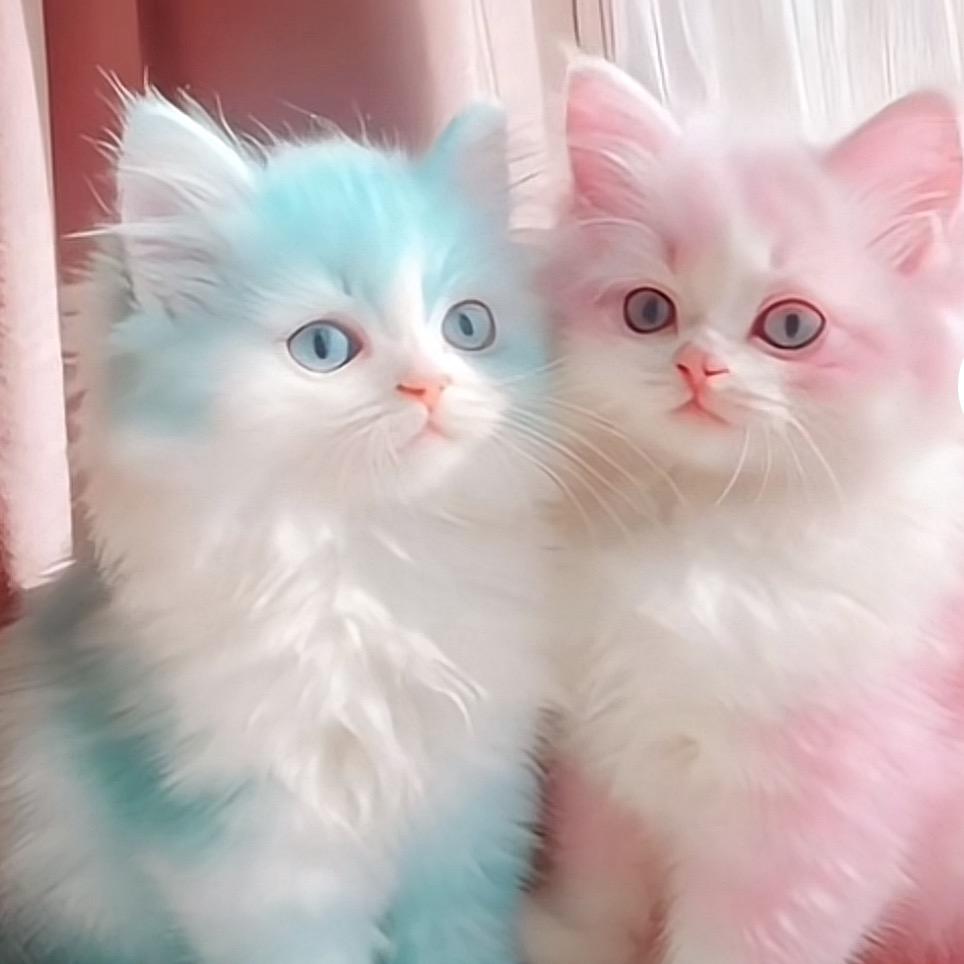 你好，再见👩‍❤️‍👨