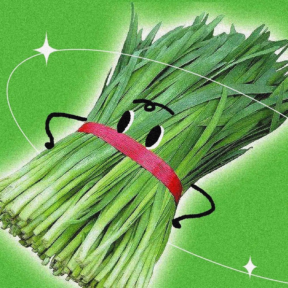 韭菜哥