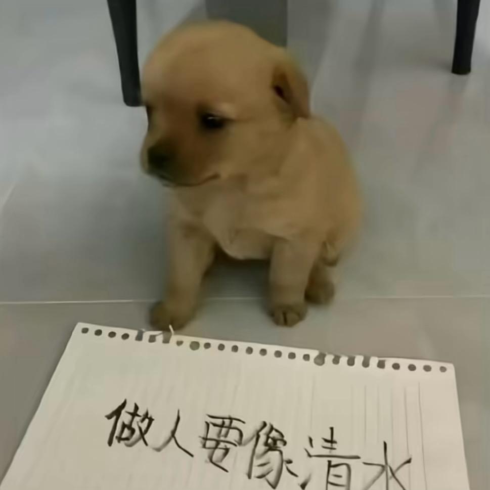 你在偷看我吗