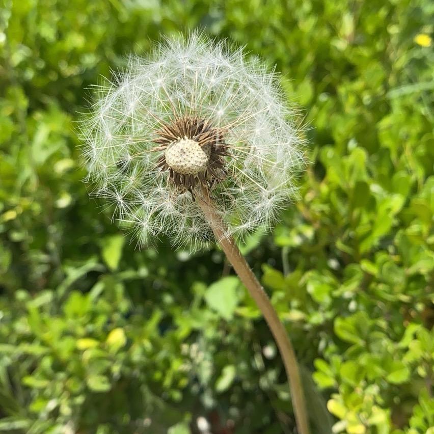 用户441599324489922