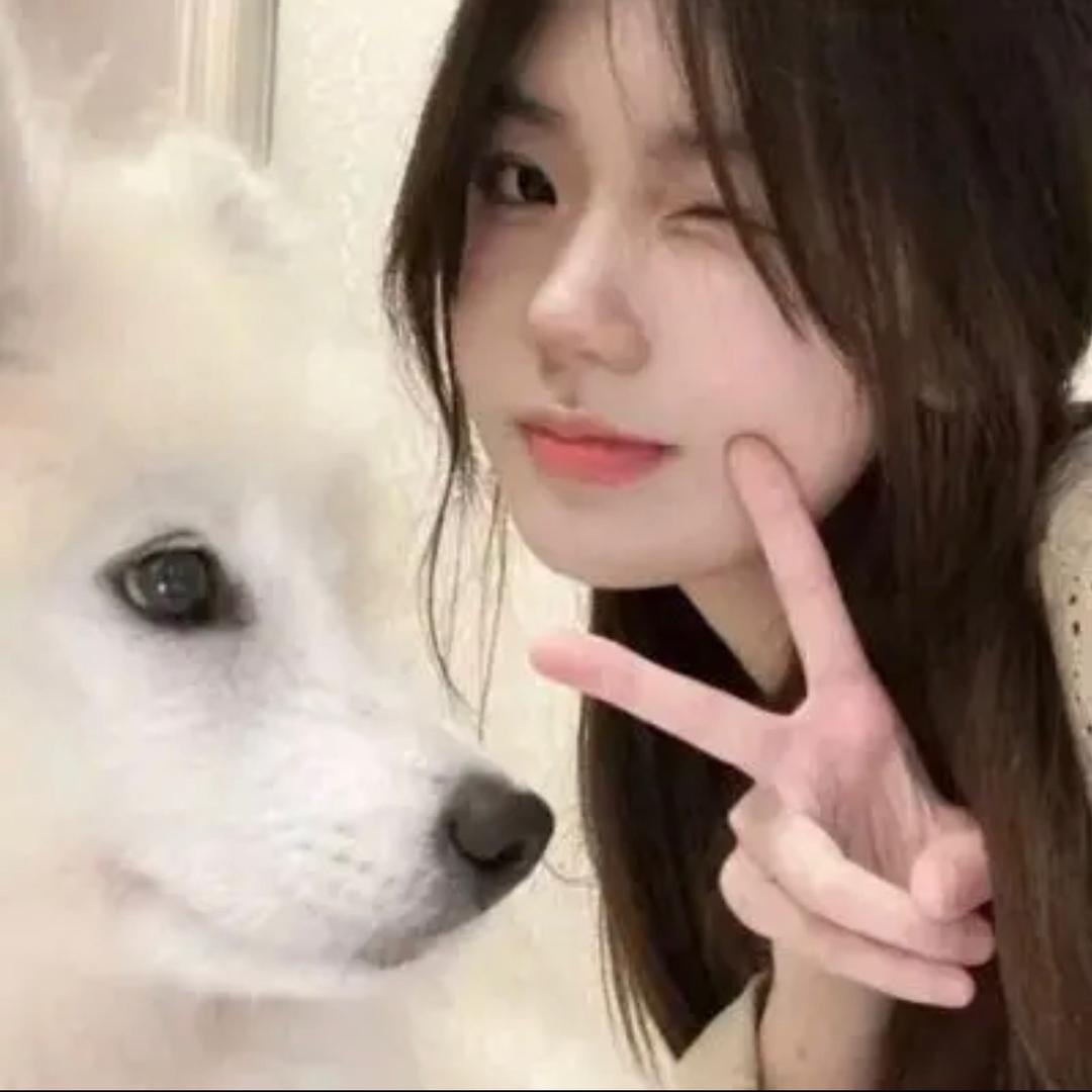 圆圆的生活