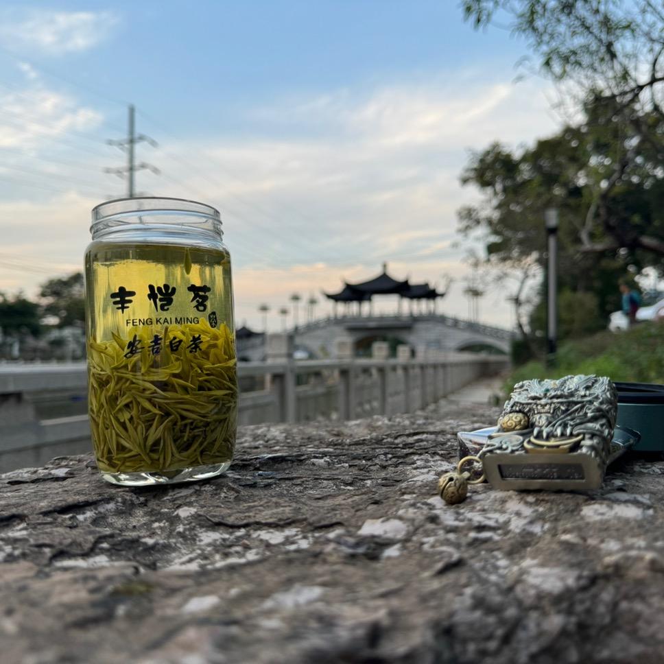 愛上喝茶@豐愷茗