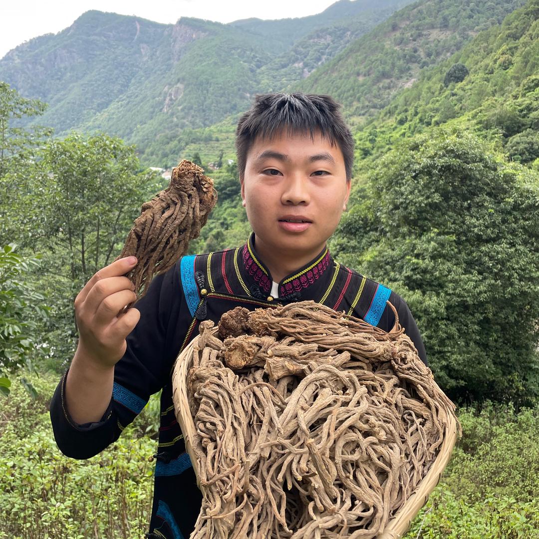 卖当归的娃儿