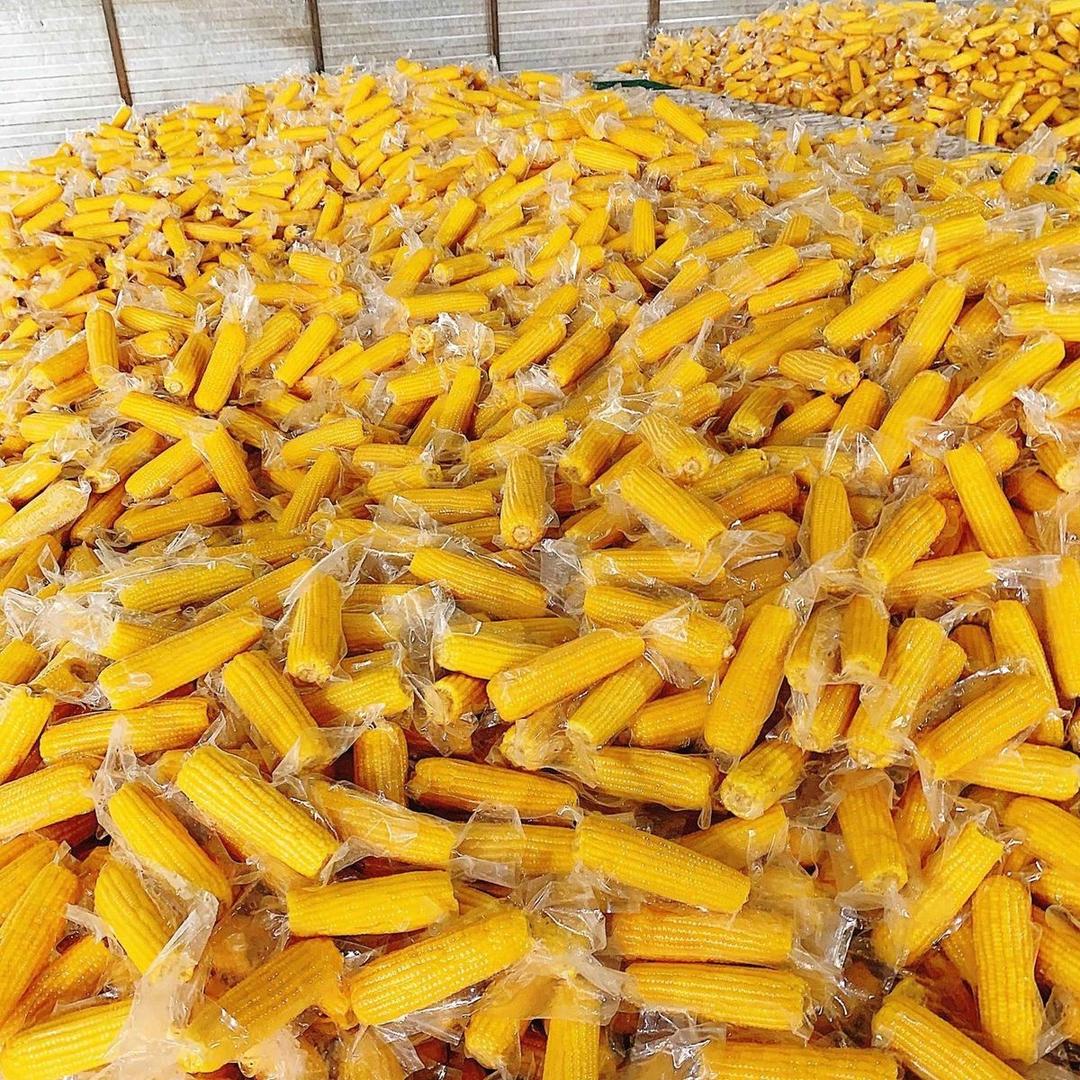 香（甜糯）玉（米）🌽