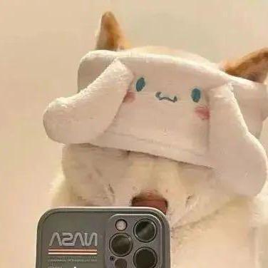 加菲猫钓罗非鱼
