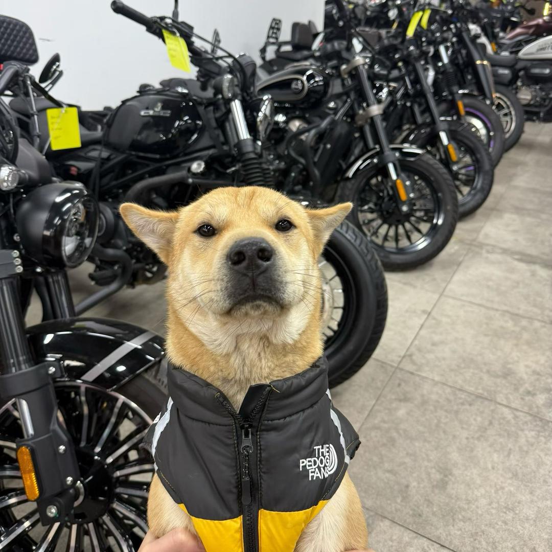 重庆湾岸机车-小成（24小时收车）