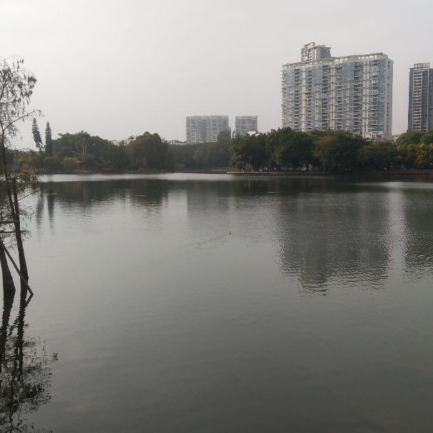 掐指一算(收徒)