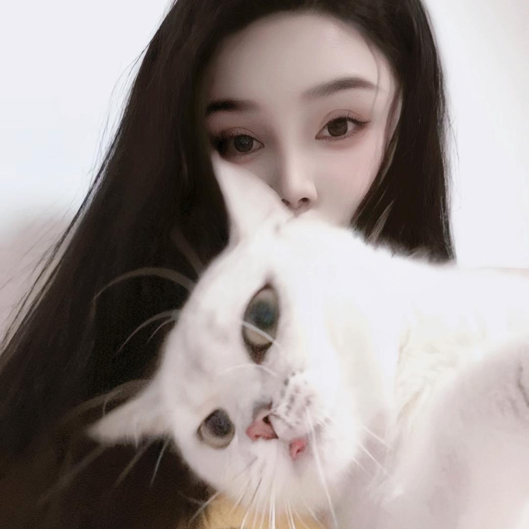 金猪猪.