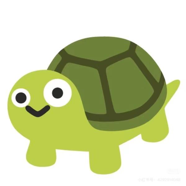 小乌龟🐢