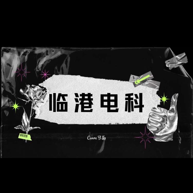 临港电子科技