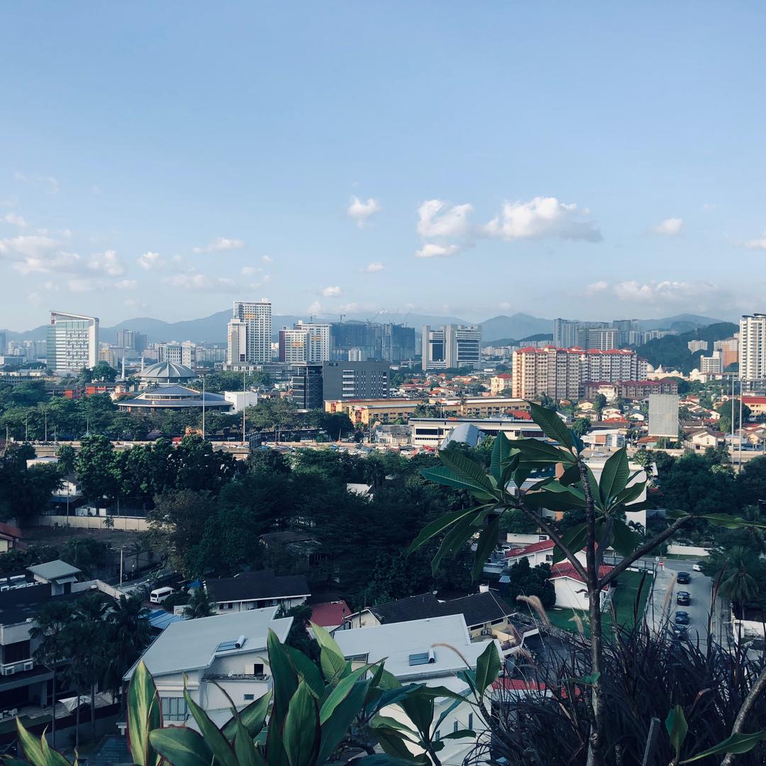 诚信经营🐮🐮