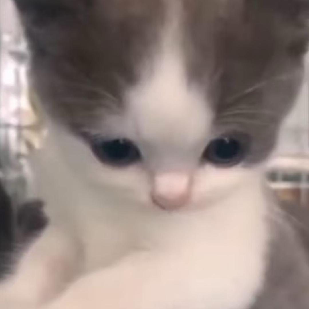kkoTuT