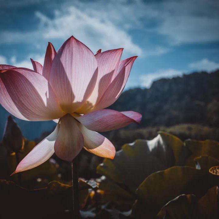 @小圆圆