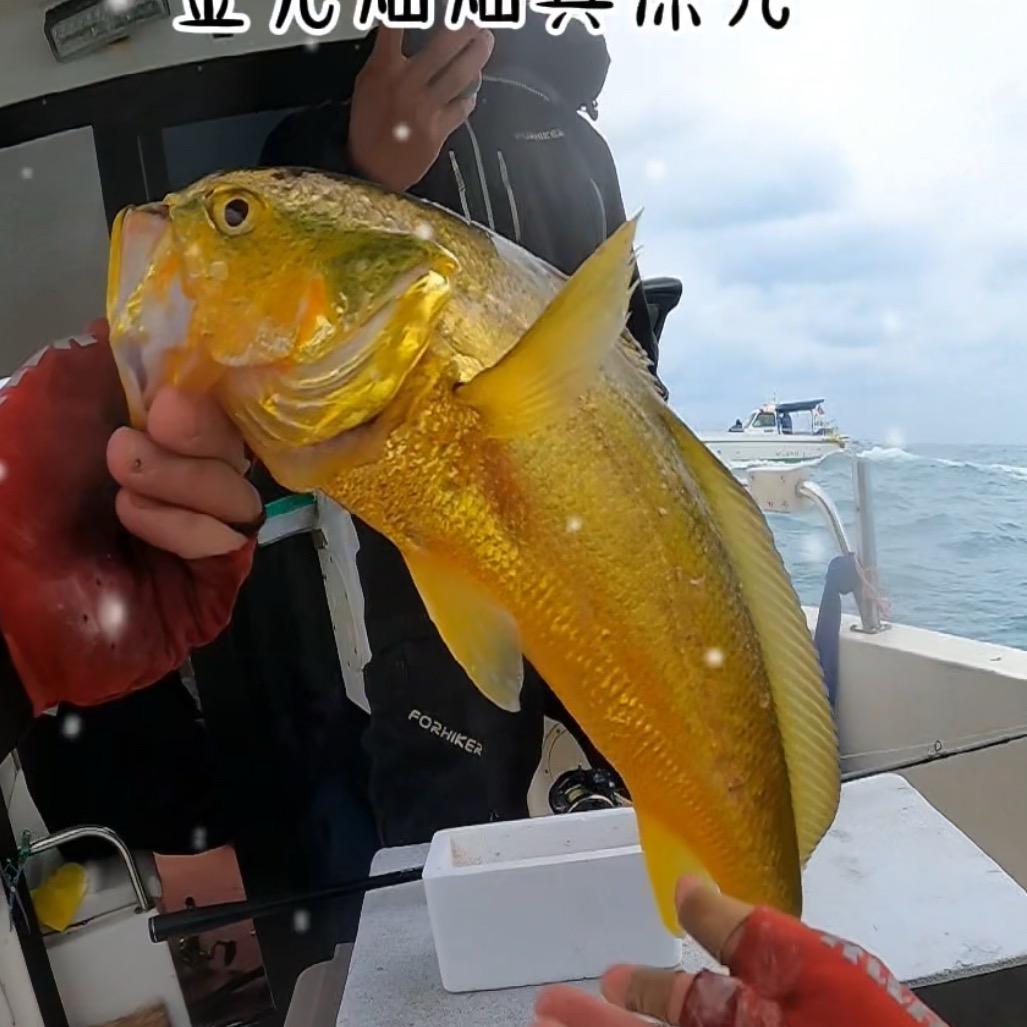 圣.艾伦