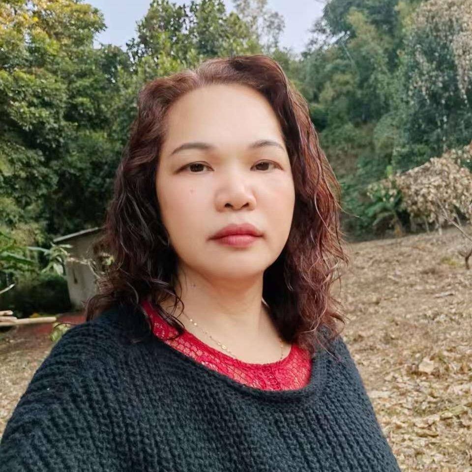 广东梅子