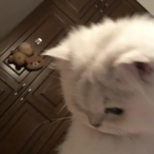 弗朗茨·李斯豪