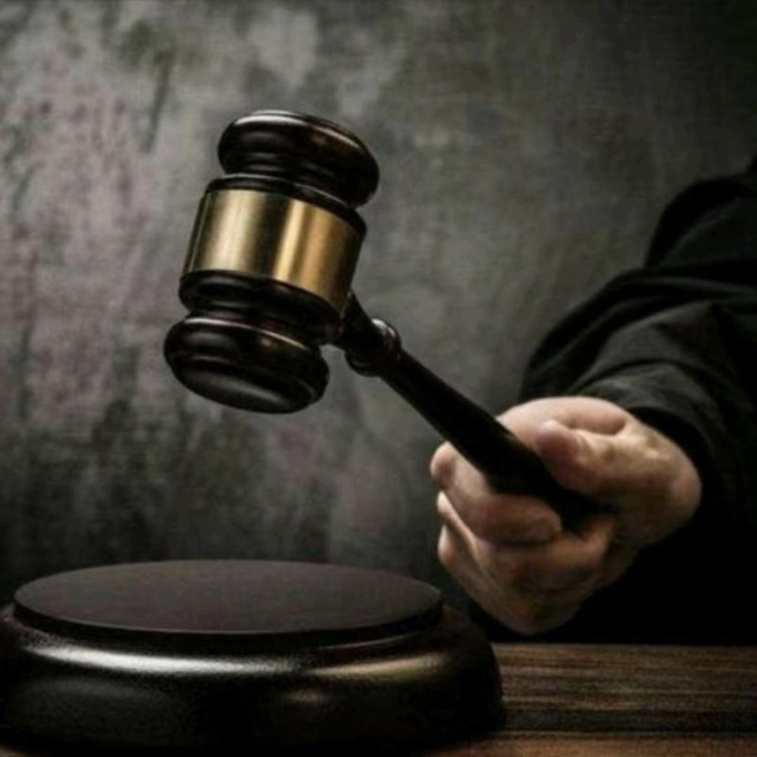 奉科律政直播号