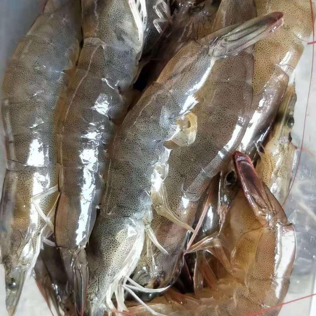 李小艺林前卖虾