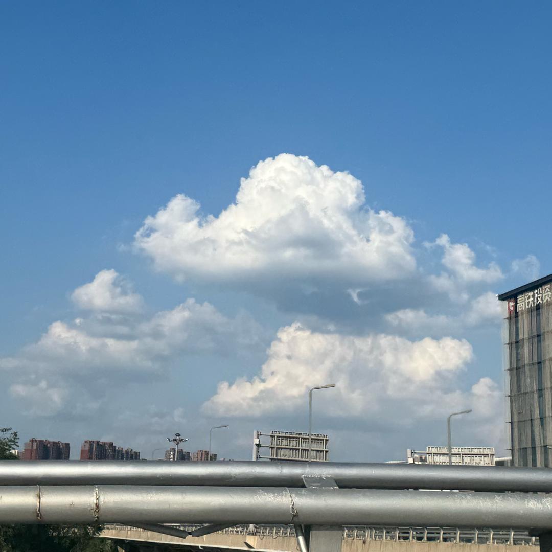 张丽