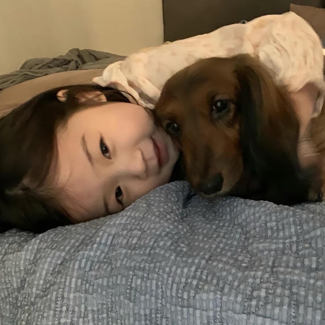 乘纸飞机的艾草包