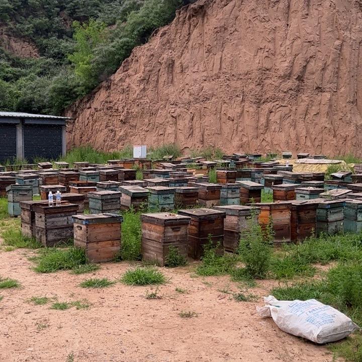 老国货溯源五星蜜