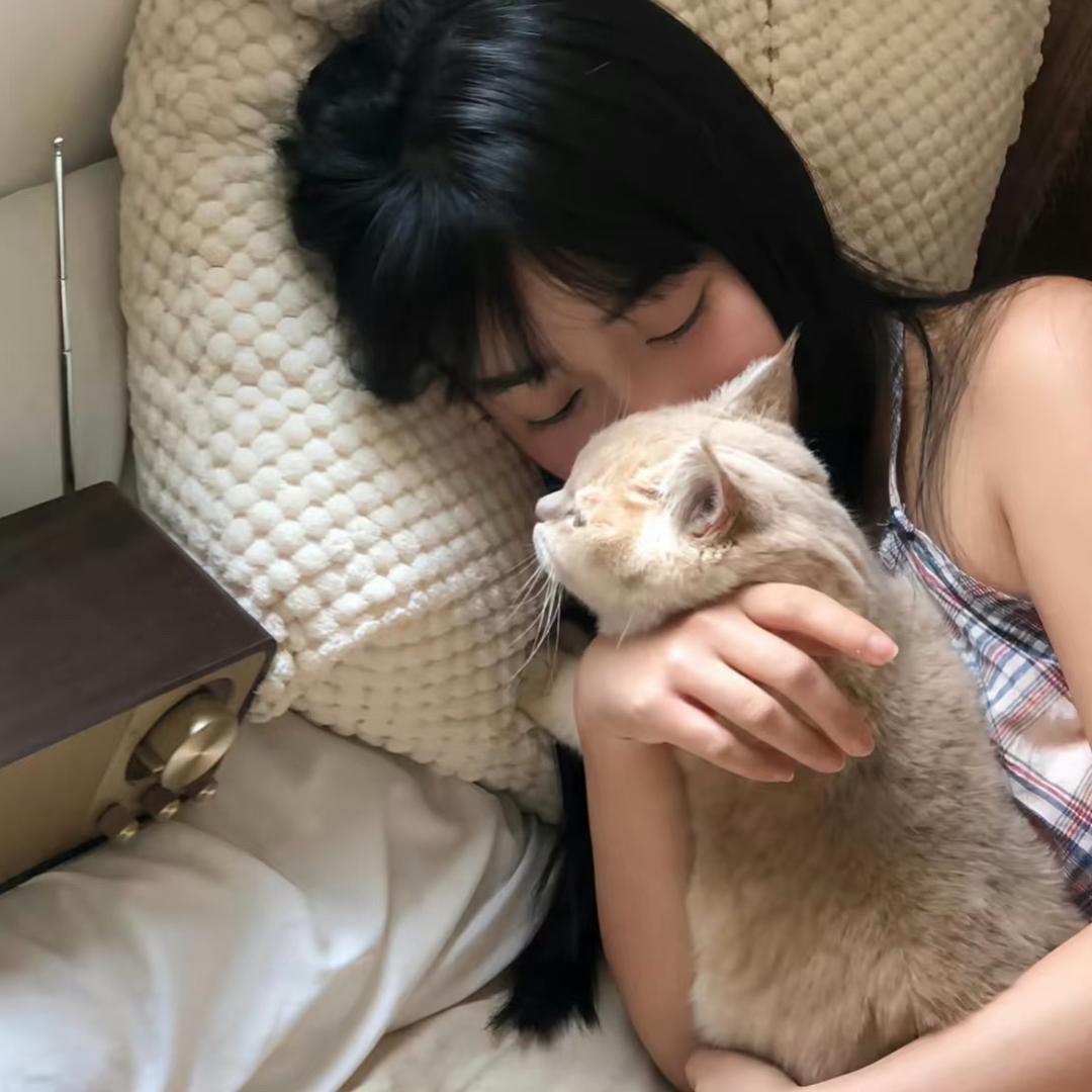 圆了吧唧