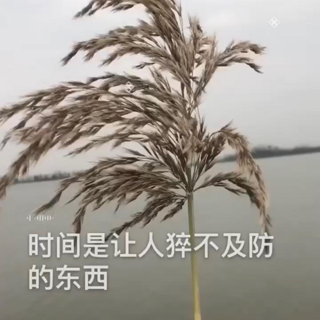 琅琊山土菜馆