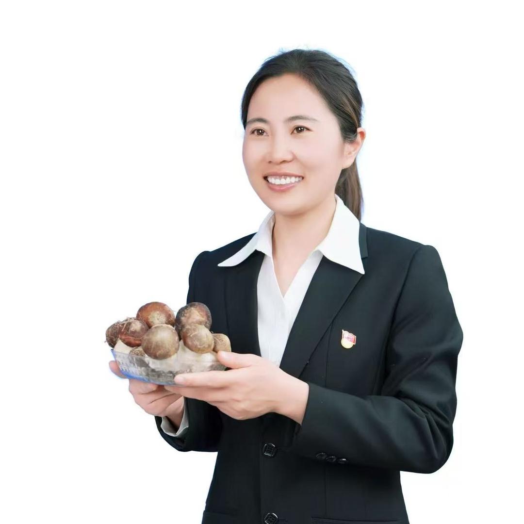 村干部小丁