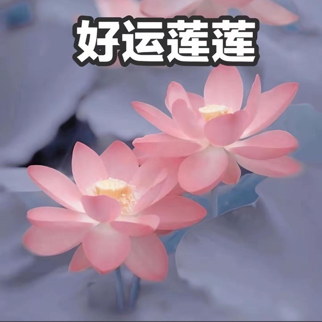 流年似水