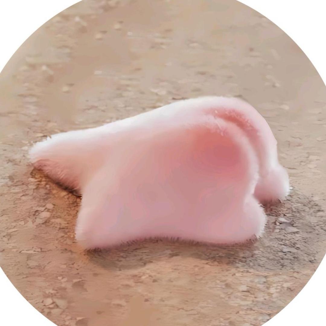 完🥚